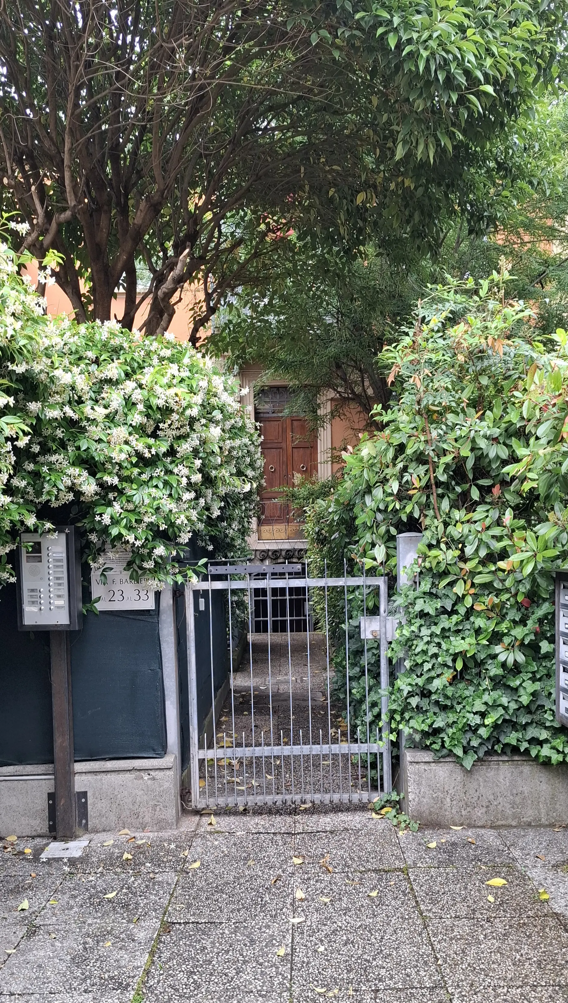 My apartment in Bologna